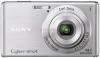 Sony - promotie camera foto digitala w530 (argintie)