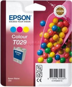 Epson t029