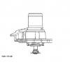 Termostat lichid racire FIAT DUCATO caroserie  244  PRODUCATOR WAHLER 3171 82D