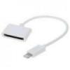 Accesorii iphone iPhone 5 to 4 Adaptor Lightning to 30-pin Cable Adapter