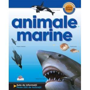 Animale Marine