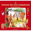 Animale din zone indepartate, carte cu ferestruici