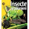 Insecte si paianjeni