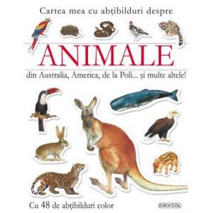 Animale din Australia, America, de la Poli… si multe altele!