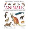 Animale din australia, america, de la poliâ¦ si