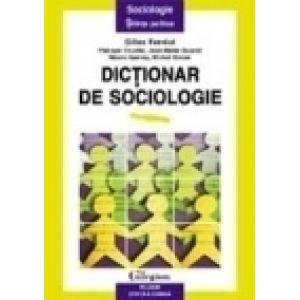 Dictionar de sociologie (coeditare)
