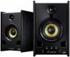 Sistem audio xps 2,0 80 dj monitor