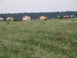 Teren vanzare domnesti bucuresti