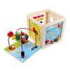 Cub educativ multifunctional 5 in 1, lemn