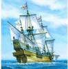 Golden hind - NCRMH5 80829