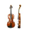 Vioara pentru copii Grade Violini