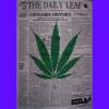 The daily leaf