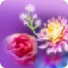 Rezerva odorizant - spring flowers