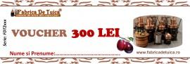 Voucher Reducere 300 Lei