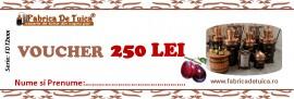 Voucher Reducere 250 Lei