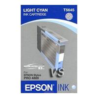 Cartus EPSON C13T605500