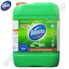 Dezinfectant domestos professional pine