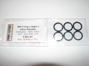 O-ring valve supape KARCHER - SC PUMPS FACTORY SRL-D