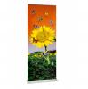 Roll-up 60 x 160 cm business inclusiv personalizarea