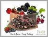 Cream - berry pudding 100g