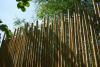 Gard din bambus liso, tip "salbatic"