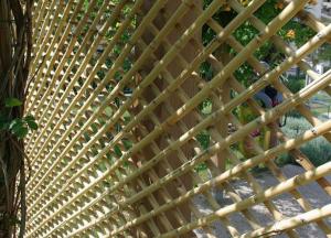 Amenajari estetice din bambus