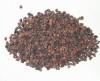 Semen Pharbitidis(Morning Glory Seed) extract