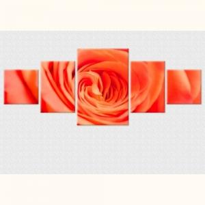 Tablouri luminoase - set - Trandafir culoarea piersicii