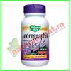 Andrographis SE 60 capsule vegetale - Nature's Way - Secom