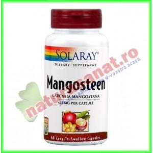 Mangosteen Extract 500mg 60 capsule vegetale - Solaray (Secom)