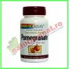 Pomegranate (extract rodie) 60 capsule - Solaray
