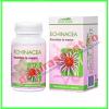 Echinacea Forte 60 comprimate - Dacia Plant