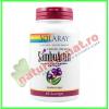Sambu actin black elderberry 200 mg (extract fructe