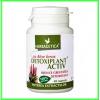 Detoxiplant activ cu aloe ferox 40 capsule - herbagetica