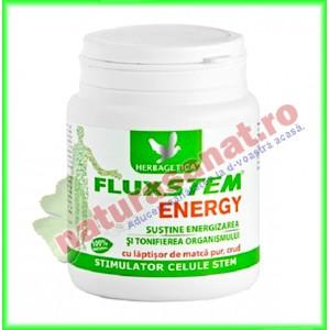 Fluxstem Energy 250ml stimulent al celulelor STEM adulte - Herbagetica