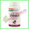 Sambuactin 1200 mg triple strenght 60 tablete filmate - solaray -