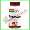 Mangosteen Extract 500mg 60 capsule vegetale - Solaray