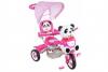 Tricicleta Copii Cu Copertina panda 1 ARTI Roz
