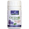 Cicoare extract 80cps herbagetica