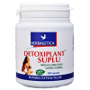 DETOXIPLANT SUPLU 200cps HERBAGETICA