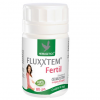Fluxxtem - fertil 80cps herbagetica