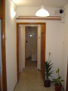 Inchiriere Apartamente Colentina Bucuresti GLX840345