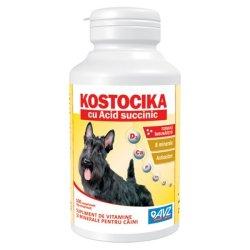 Supliment de vitamine KOSTOCIKA pentru caini
