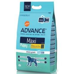 Hrana uscata caini juniori de talie mare Advance Maxi Puppy 18 kg