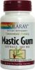 Mastic gum