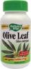 Olive leaf