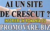 Promovare web in directoare romanesti