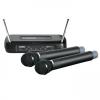 Sistem wireless dublu LD Systems ECO 2 LDWSECO2X2HHD