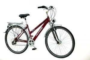 Bicicleta Bolero F28 DHS