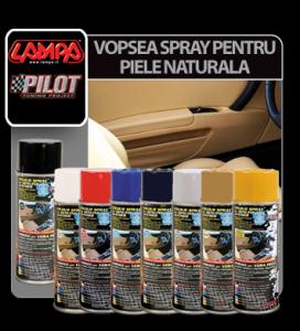 Spray piele vopsea